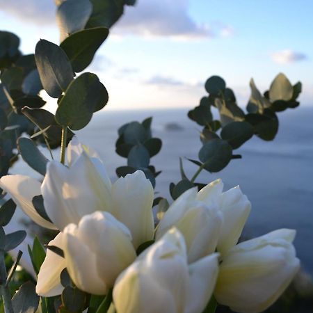 Casa La Bifora Positanoヴィラ エクステリア 写真