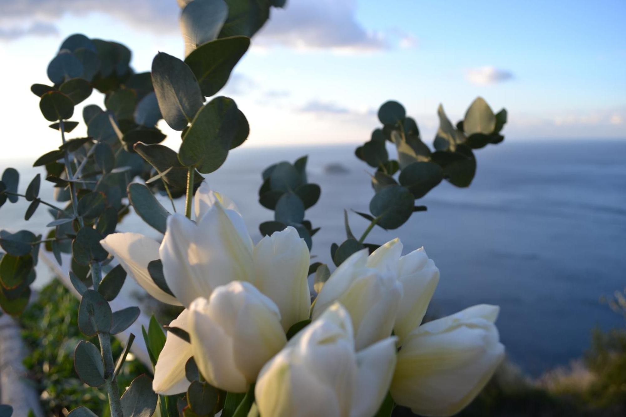 Casa La Bifora Positanoヴィラ エクステリア 写真